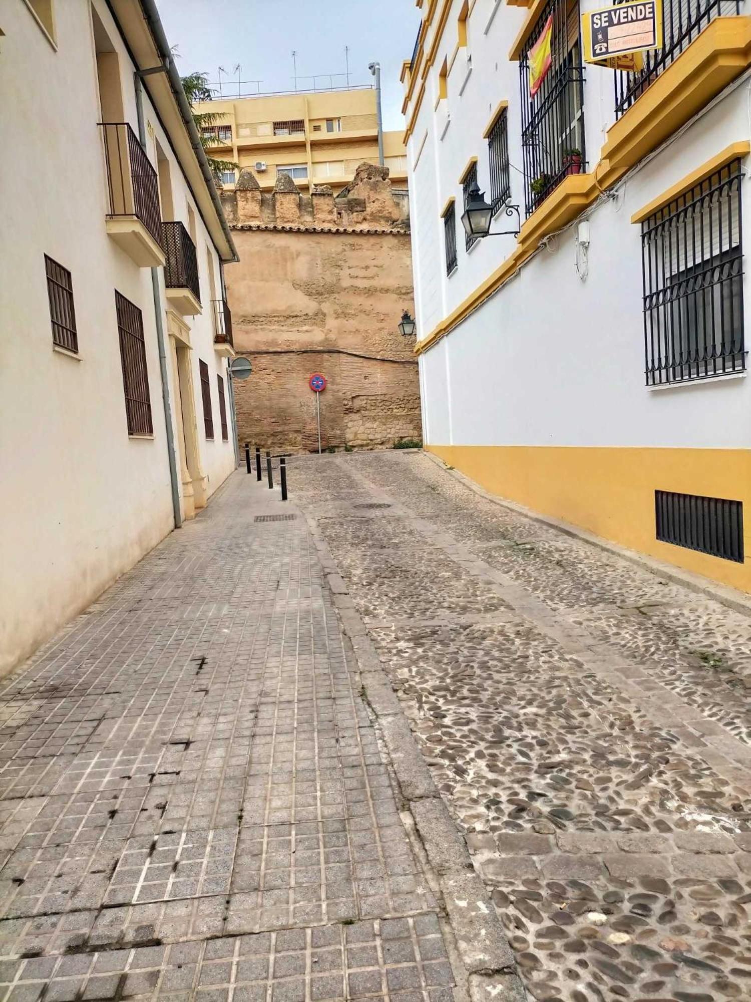 Nieves Viejas Los Patios Córdoba Exterior foto